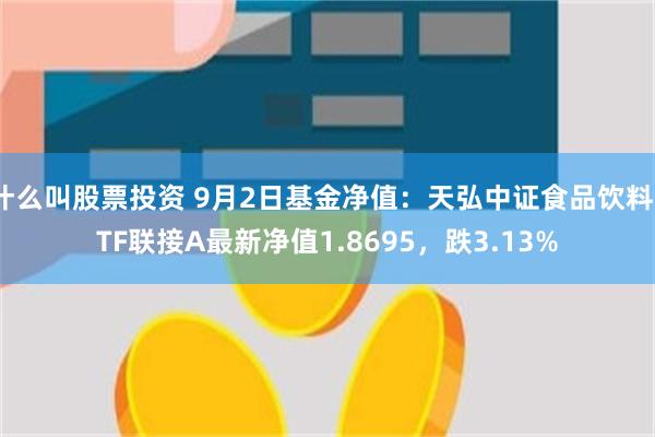 什么叫股票投资 9月2日基金净值：天弘中证食品饮料ETF联接A最新净值1.8695，跌3.13%