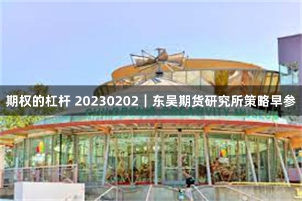 期权的杠杆 20230202｜东吴期货研究所策略早参