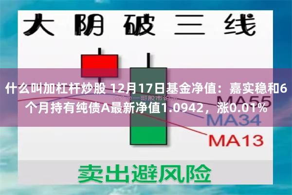 什么叫加杠杆炒股 12月17日基金净值：嘉实稳和6个月持有纯债A最新净值1.0942，涨0.01%