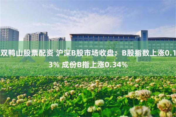 双鸭山股票配资 沪深B股市场收盘：B股指数上涨0.13% 成份B指上涨0.34%