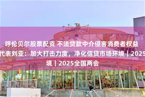 呼伦贝尔股票配资 不法贷款中介侵害消费者权益 全国人大代表刘亚：加大打击力度，净化信贷市场环境｜2025全国两会